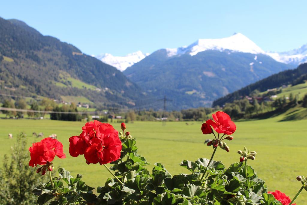 Вилла Zittrauerhof - Urlaub Am Bauernhof Gastein Бад Хофгаштайн Экстерьер фото